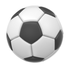 NWSL Logo